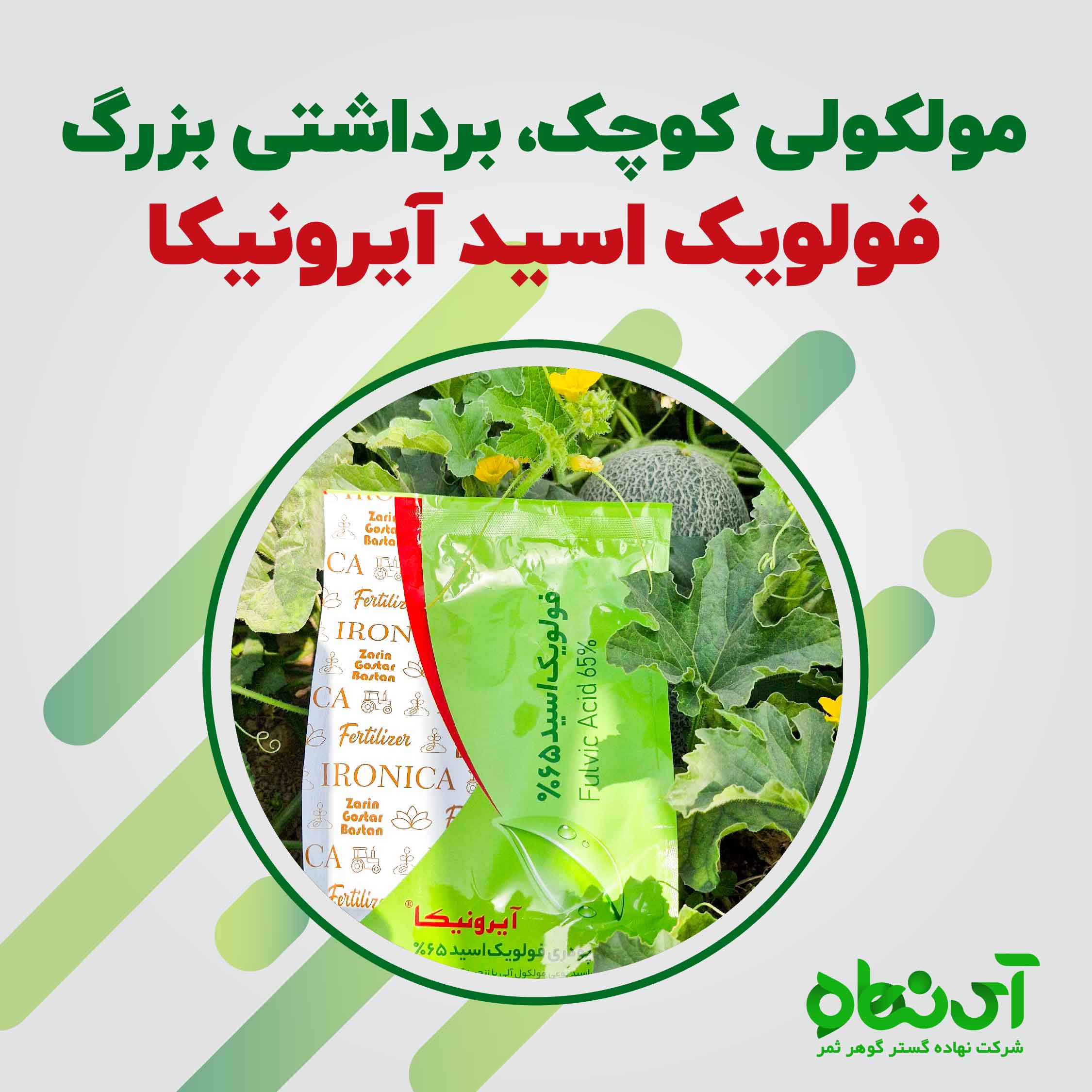 مولکولی کوچک، برداشتی بزرگ فولویک اسید آیرونیکا 